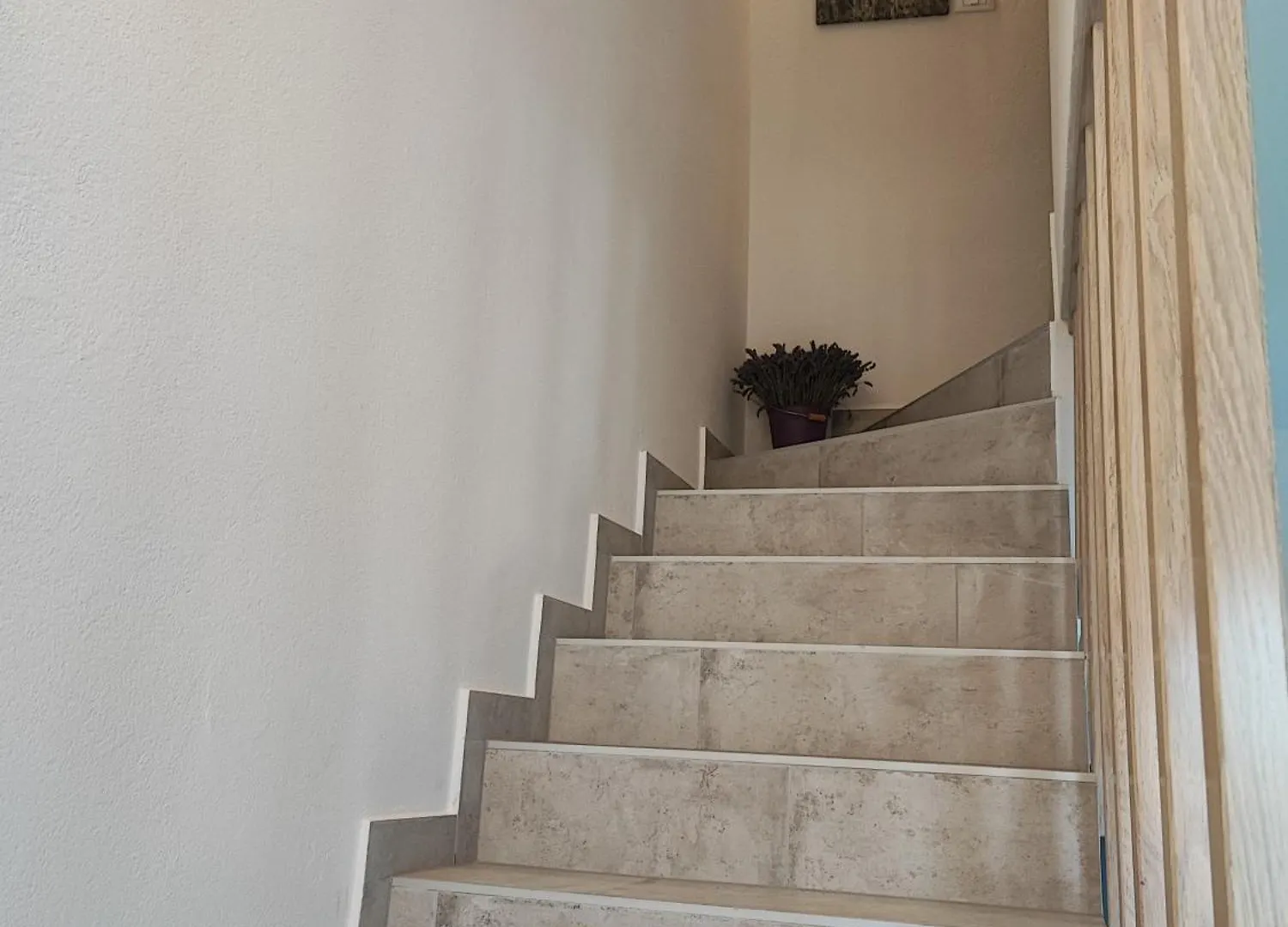 Acacia House - Cres Island Villa Orlec